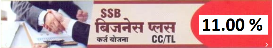 business plus